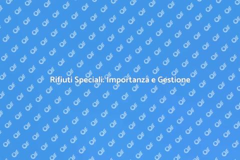 Gestione Rifiuti Speciali: Modelli Organizzativi