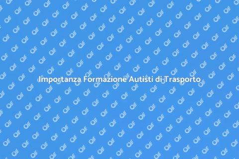 Formazione Gestione Carico Autisti