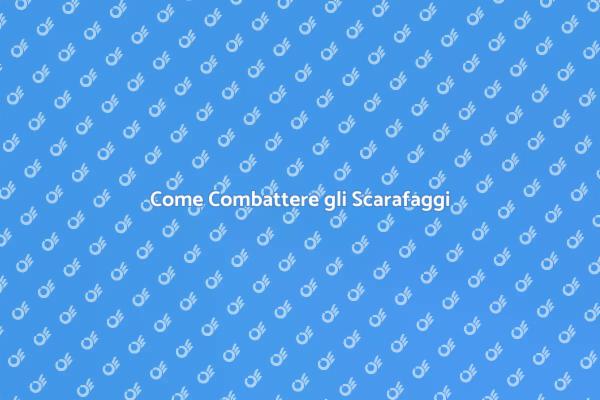 Elimina gli Scarafaggi Efficacemente
