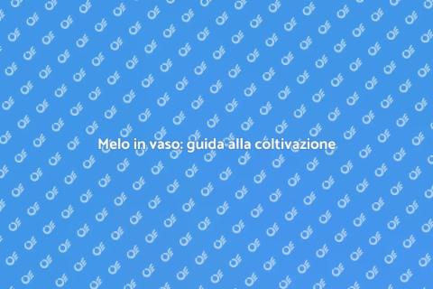 Coltivare un melo in vaso