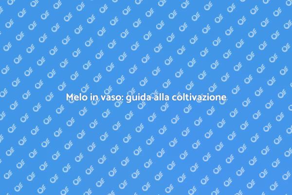 Melo in vaso: frutta fresca a casa