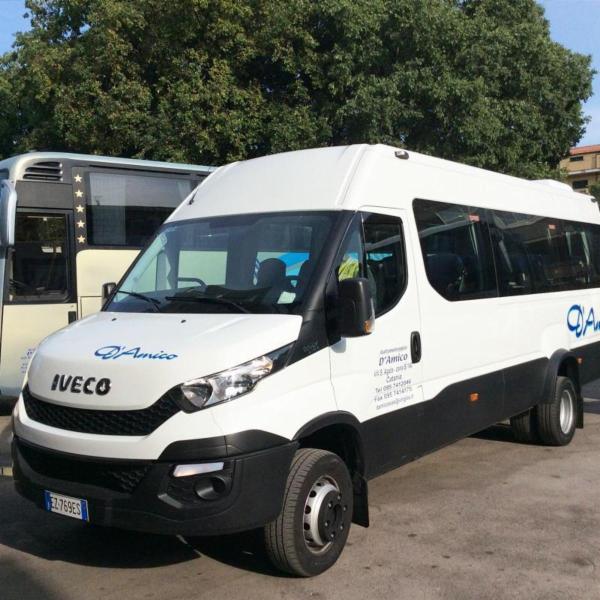 Noleggio Bus D'Amico  - Foto 2