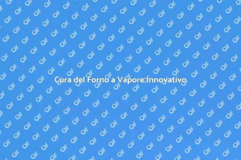 Manutenzione Forno a Vapore Pyrolytic