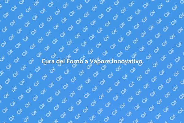 Manutenzione Efficace del Forno a Vapore