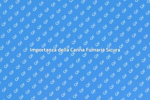 Sostituzione Canna Fumaria Sicura