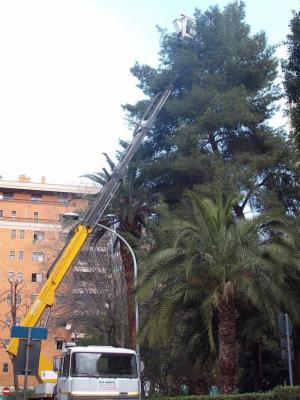 Sky Green Srl  - Foto 4