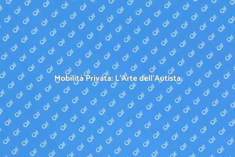 Autista Privato Discreto: Mobilità Eccellente