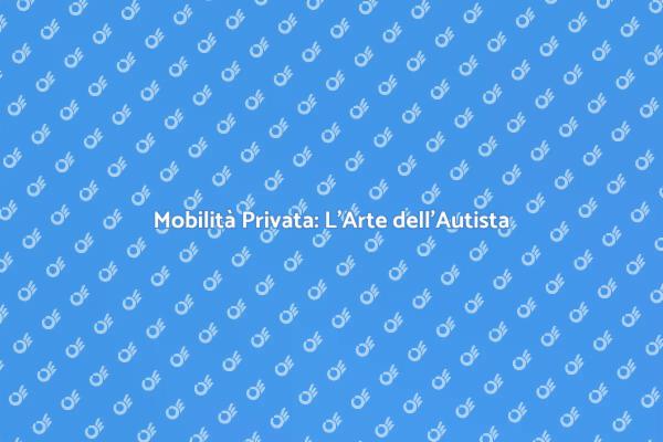L'Importanza dell'Autista Discreto