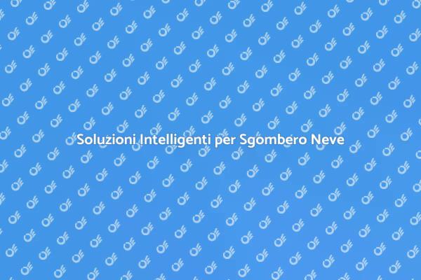 Gestisci la Neve con Intelligenza