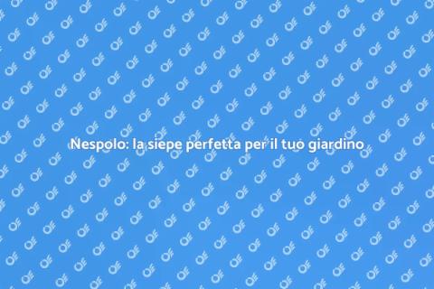 Siepe di nespolo: il verde ideale