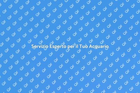 Supporto Professionale per Acquari