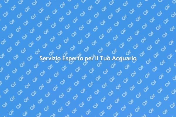 Cura Professionale per il Tuo Acquario
