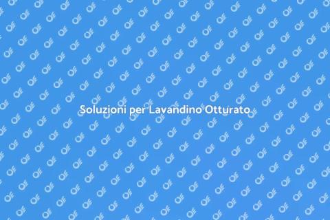 Riparazione Lavandino Otturato Facile