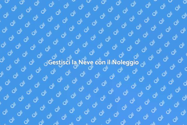 Semplifica la Gestione della Neve