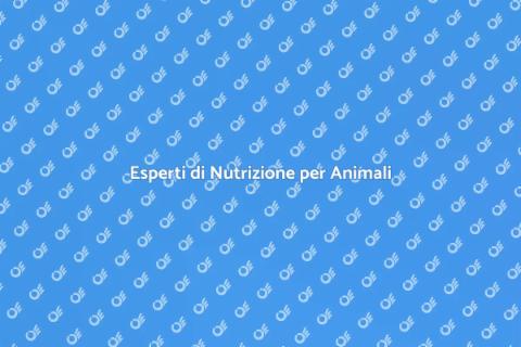 Nutrizione Animale: Consulenza Esperti