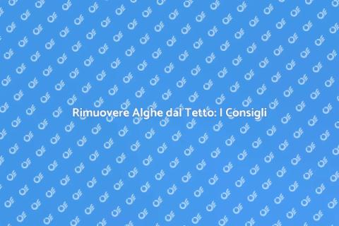 Pulire un Tetto con Alghe: Guida