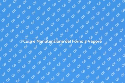 Manutenzione Forno a Vapore Efficace