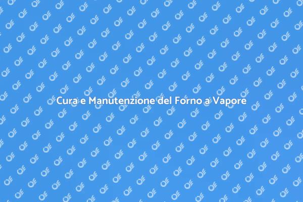 Guida alla Manutenzione del Forno a Vapore
