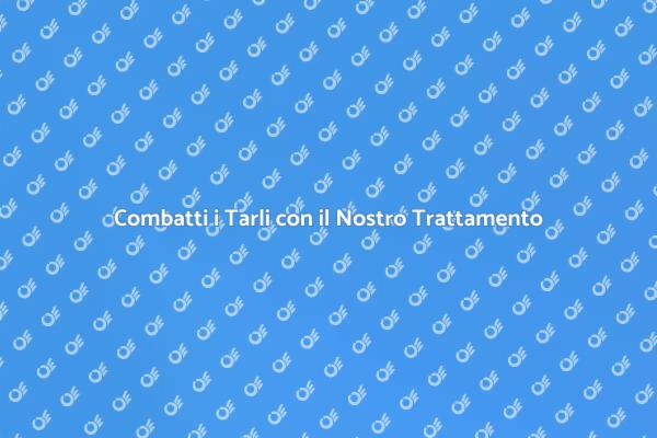 Proteggi i Tuoi Mobili dai Tarli