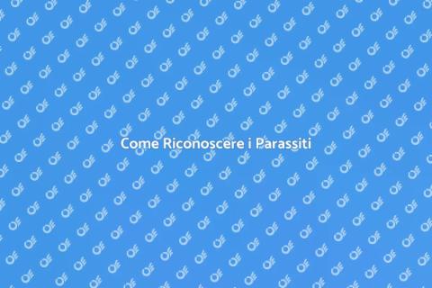 Diagnosticare Parassiti in Casa