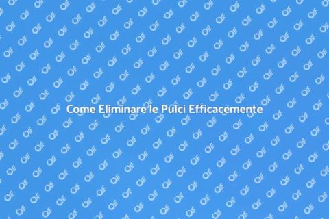 Liberarsi dalle Pulci: Guida Pratica