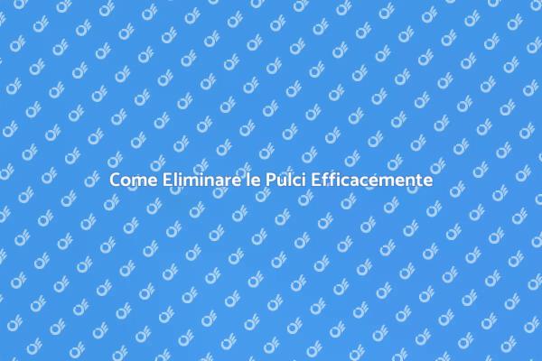 Sconfiggi le Pulci: Ecco Come Fare
