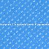 Sfrutta il Potere del Programmatore Software