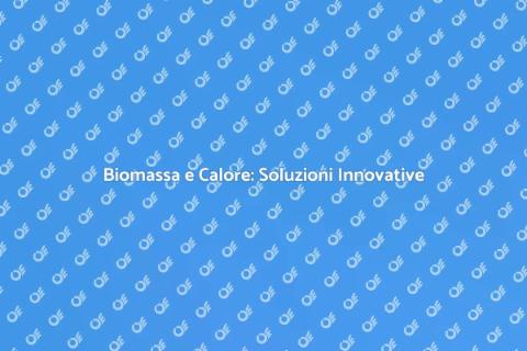 Caldaie a Biomassa: Sostenibilità e Calore