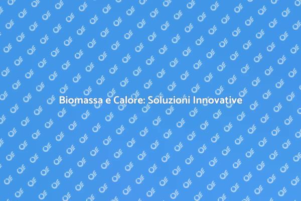 Caldaie a Biomassa: Sostenibilità e Comfort