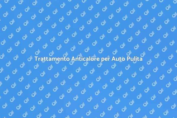 Pulizia e Protezione del Veicolo