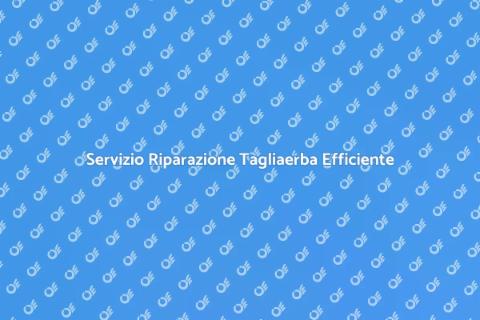 Riparazione Tagliaerba a Domicilio