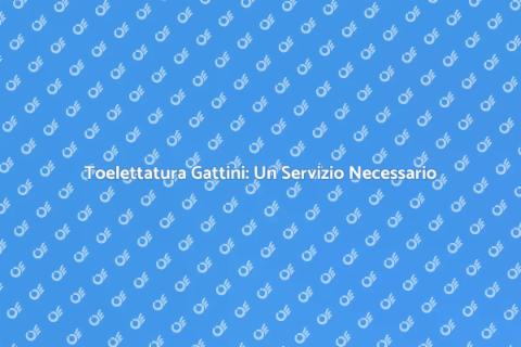 Toelettatura per Gattini: Salute e Stile