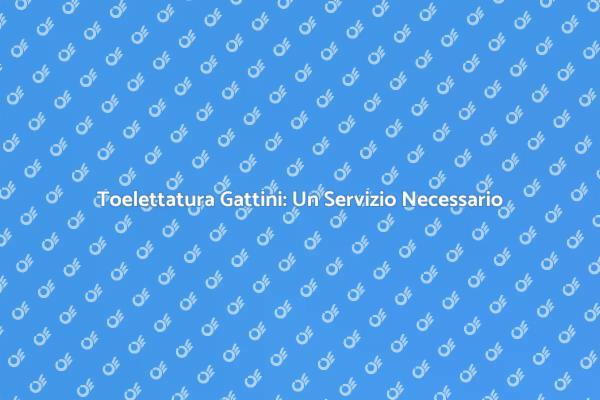 Perché Toelettare il Tuo Gattino?