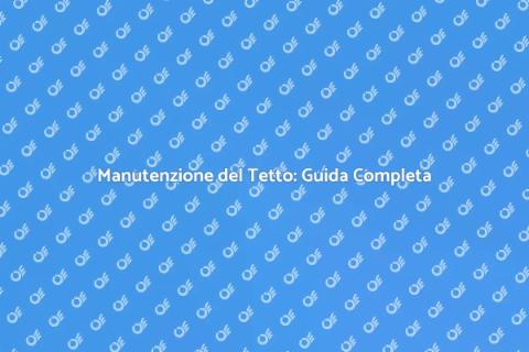 Pulizia e Manutenzione del Tetto