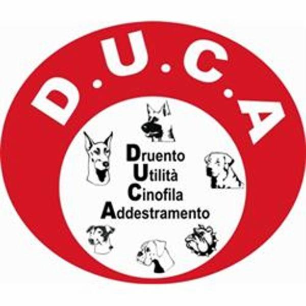 D.U.C.A. Disciplina Utilita' Cinofila Addestramento - Foto 1