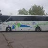 Palmieri Bus 