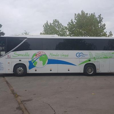 Palmieri Bus