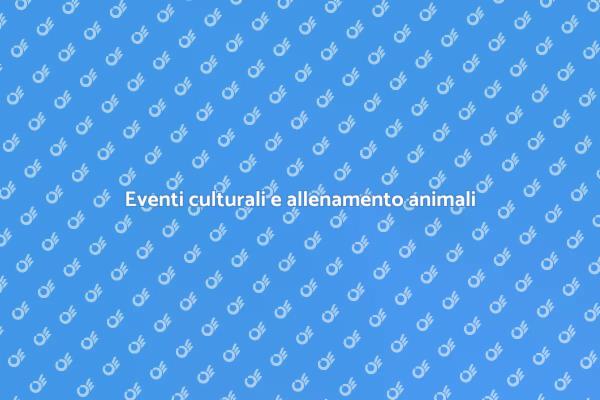 Magia dell'allenamento per eventi culturali