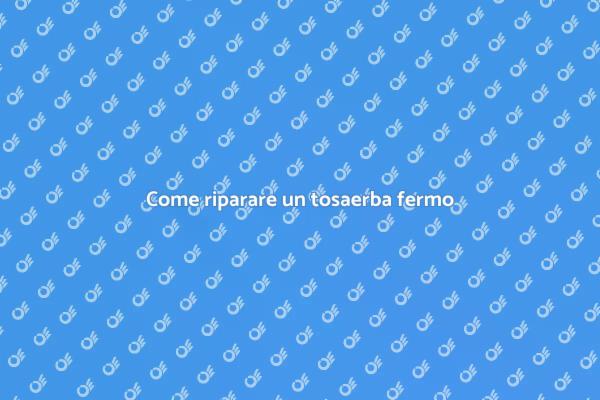Tosaerba fermo? Ecco come rimetterlo in sesto!