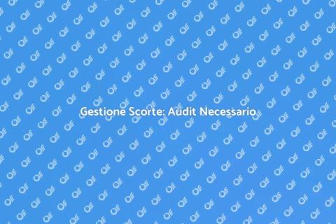 Audit Scorte Mancanti: Guida Essenziale