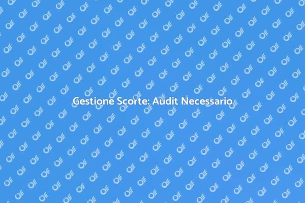 Audit Scorte: Ottimizzazione Necessaria