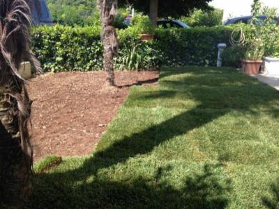 Progetto Verde  - Foto 2
