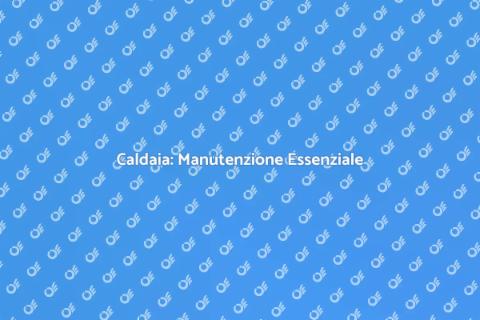 Manutenzione Straordinaria Caldaia