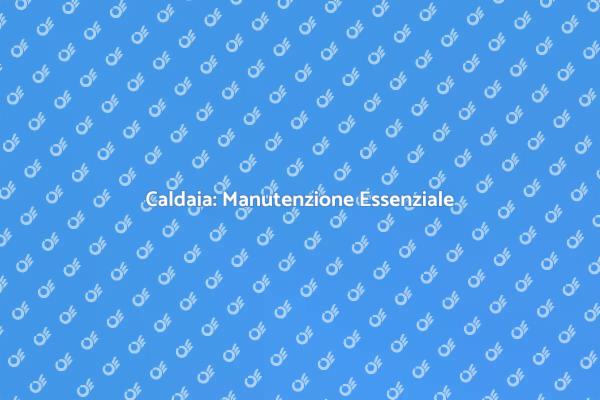 Manutenzione Caldaia: Perché è Cruciale