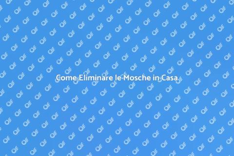 Disinfestare Mosche: Soluzioni Efficaci
