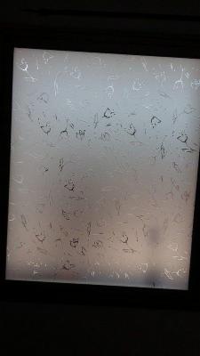 Euro - Glass  - Foto 8