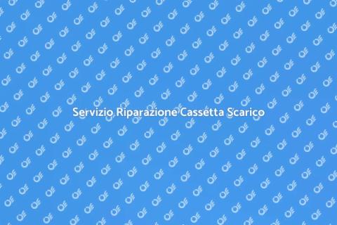 Riparazione Cassetta di Scarico