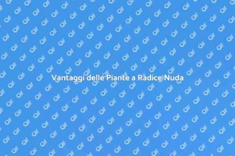 Piante da Siepe a Radice Nuda