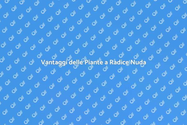 Come Scegliere Piante da Siepe