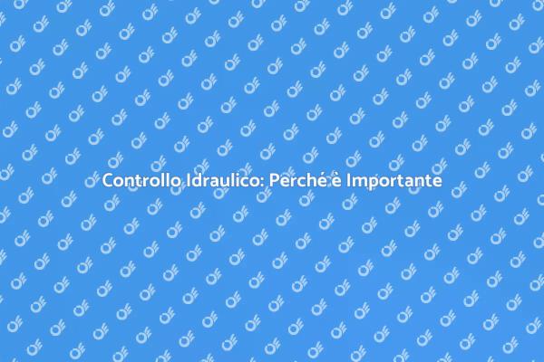 Ispezione Idraulica: Un Passo Necessario